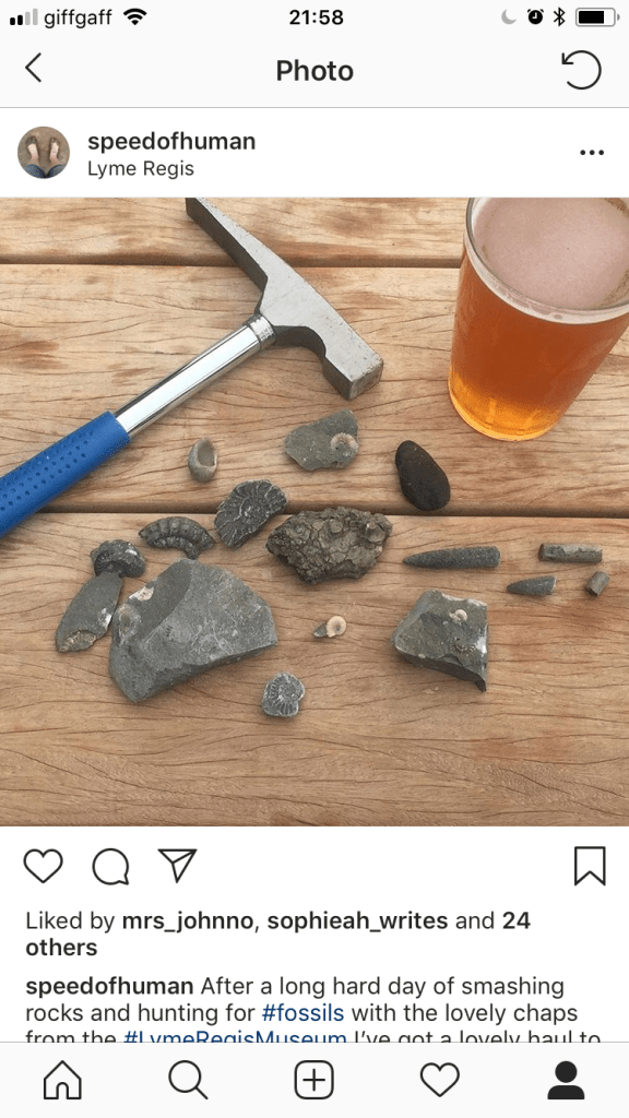 InstagramPostFossils